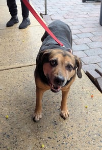 Abby - Awesome Girl! - Photo 19
