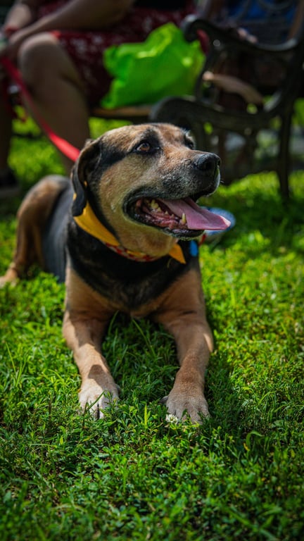 Abby - Awesome Girl! Image
