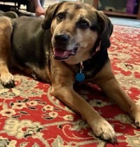 Abby - Awesome Girl! - Photo 16