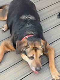 Abby - Awesome Girl! - Photo 18