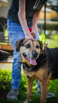 Abby - Awesome Girl! - Photo 3