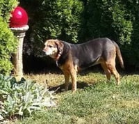 Abby - Awesome Girl! - Photo 11