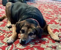 Abby - Awesome Girl! - Photo 17