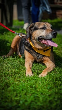 Abby - Awesome Girl! - Photo 2