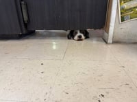 Rocky - No More Applications, Please! - Photo 5