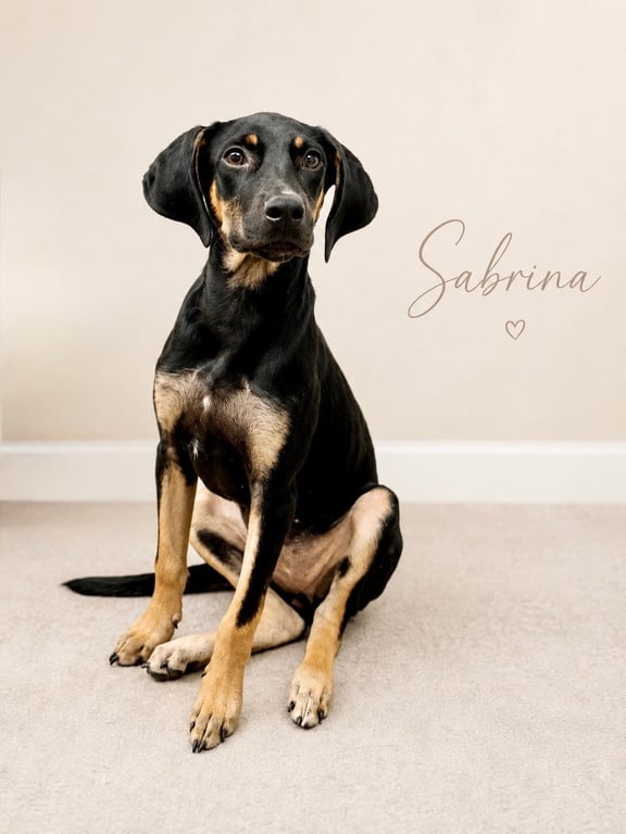 Sabrina- long legged beauty Image