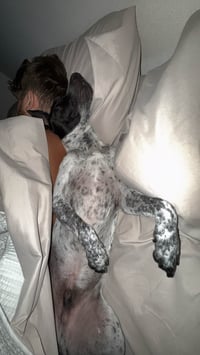 Jax-friendly boy - Photo 6