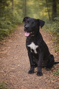 Onyx- tornado of love - Photo 2