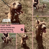 Jason - A Firecracker - Photo 6