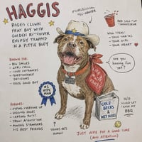 Haggis- underbite....  overlove - Photo 5