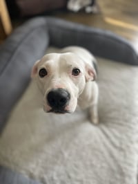 Shelby - Special Girl! - Photo 4