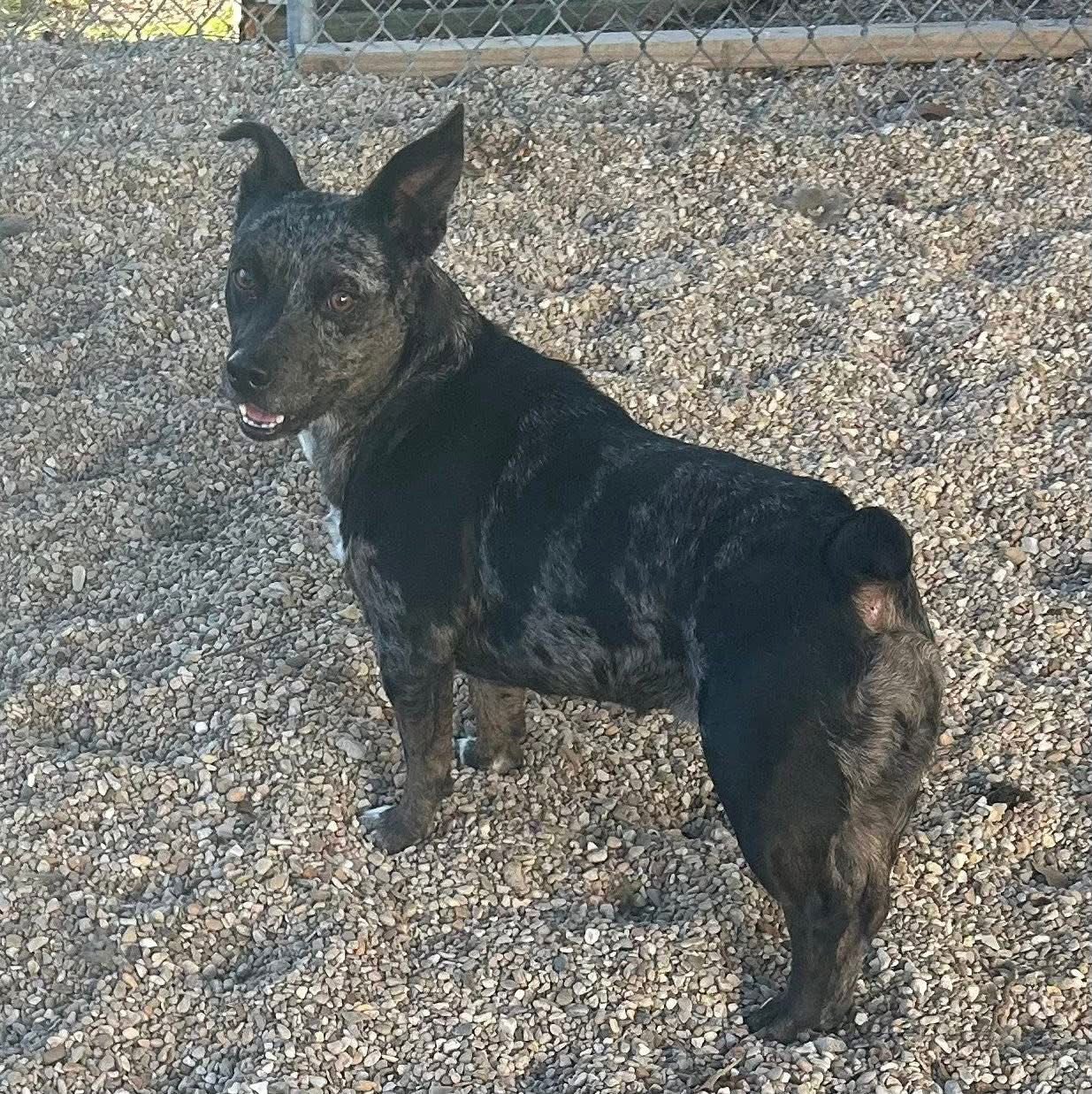 Eden- cutest wiggle butt - Photo 6