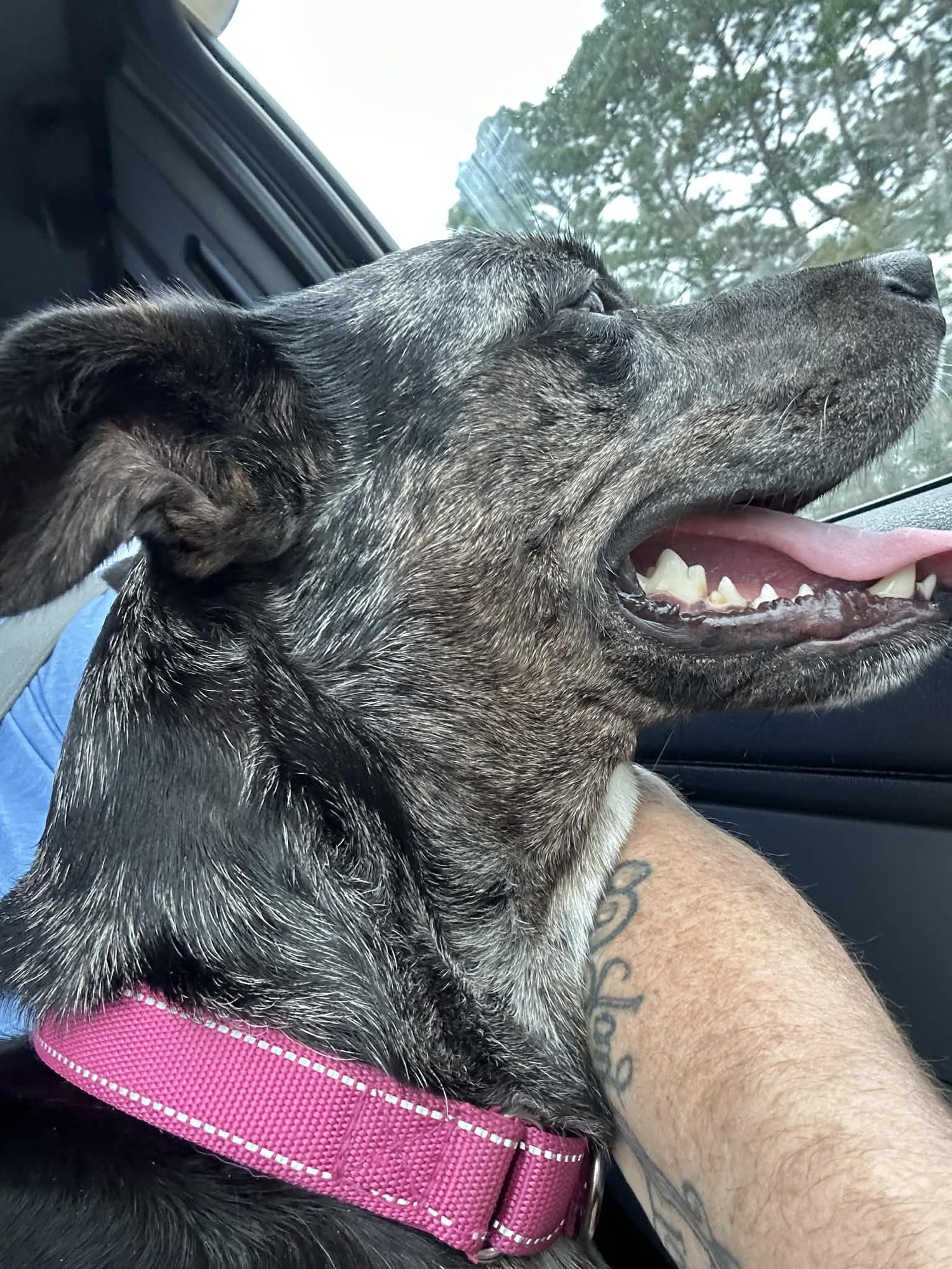 Eden- cutest wiggle butt - Photo 7