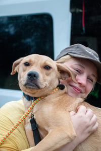 Duncan-handsome yellow lab mix - Photo 11