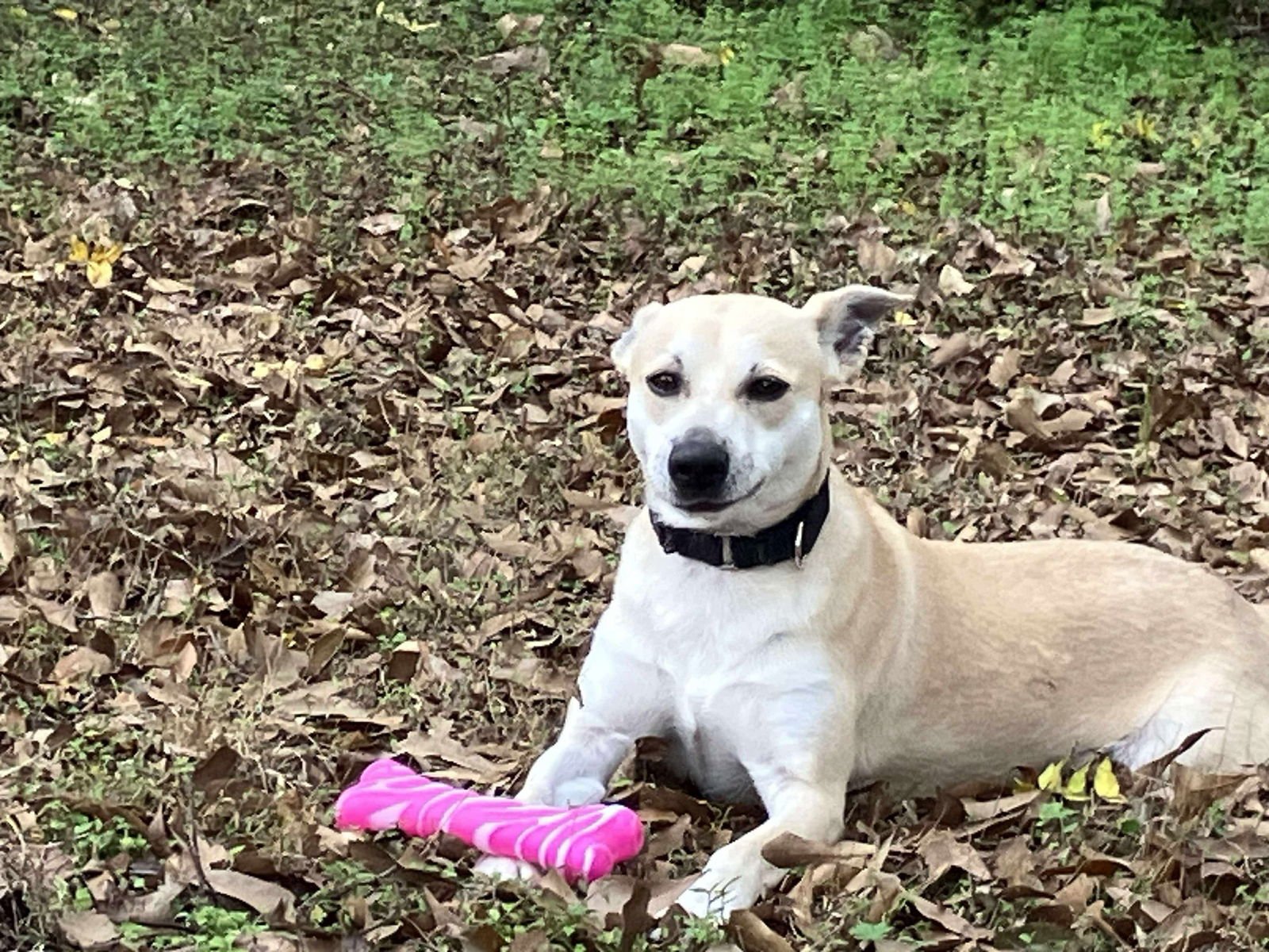 Ryan- gentle soul! - Photo 3