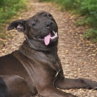 Remi- instant bestie - Photo 1