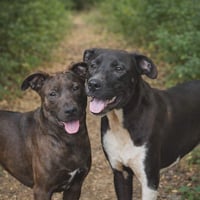 Remi- instant bestie - Photo 3