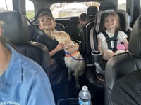 Alexandra- pure puppy love - Photo 4