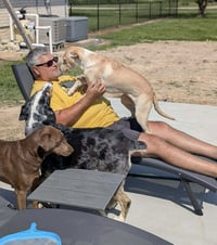 Alexandra- pure puppy love - Photo 5