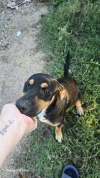 Harper- affection is my love language - Photo 2