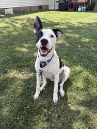 Radar - Ready for Fun! - Photo 9