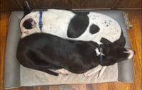 Radar - Ready for Fun! - Photo 13