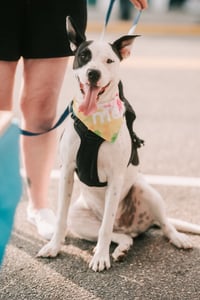 Radar - Ready for Fun! - Photo 12