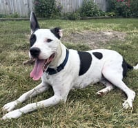 Radar - Ready for Fun! - Photo 8