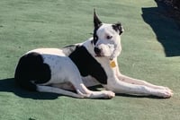 Radar - Ready for Fun! - Photo 16