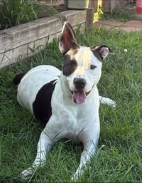Radar - Ready for Fun! - Photo 1