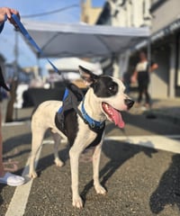 Radar - Ready for Fun! - Photo 11