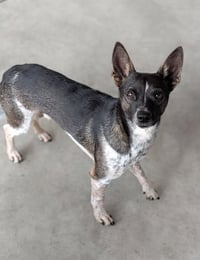 Diego - no more applications please! - Photo 2