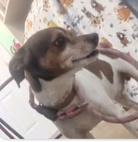 Gibson- sidekick material - Photo 3