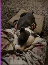 Galiano- LOVES kids - Photo 2