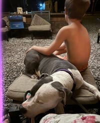 Galiano- LOVES kids - Photo 3