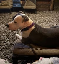 Galiano- LOVES kids - Photo 4