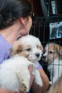 Andie - NO MORE APPLICATIONS PLEASE!!! - Photo 1