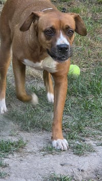 Mochie- goofy girl - Photo 3