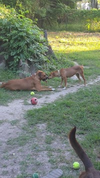 Mochie- goofy girl - Photo 4