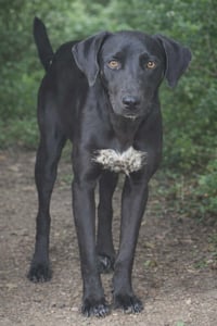 Zuri- soft soul - Photo 2