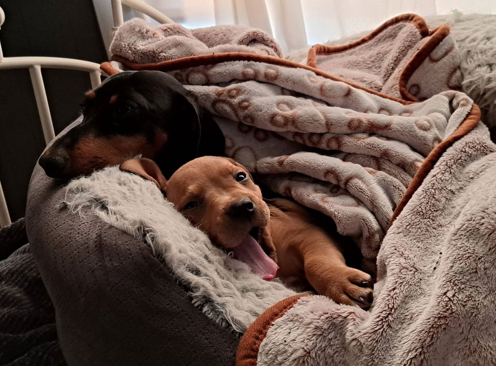 Will- simply the cutest - Photo 3