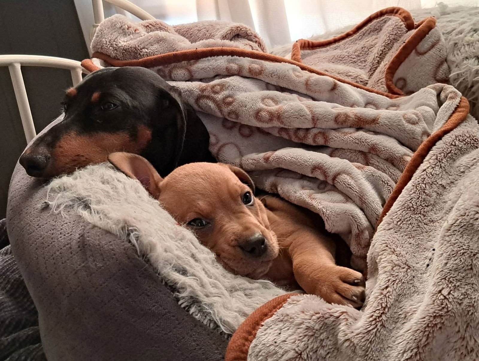 Will- simply the cutest - Photo 4