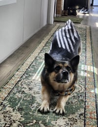 May- fun sized - Photo 3