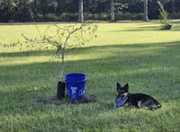 May- fun sized - Photo 4