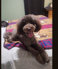 Burke - Best Boy Potential - Photo 1