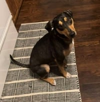 Luna - Courtesy Post - Photo 3