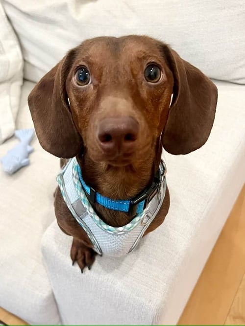 FRANKLIN