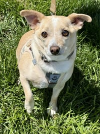 Mr. Peanut - Photo 1
