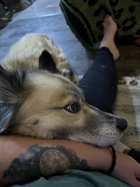 Moana (Mo) - Photo 3