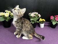 Penelope - Photo 1